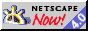 netscape.gif (1970 bytes)